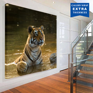 Tiger by Teeku Patel