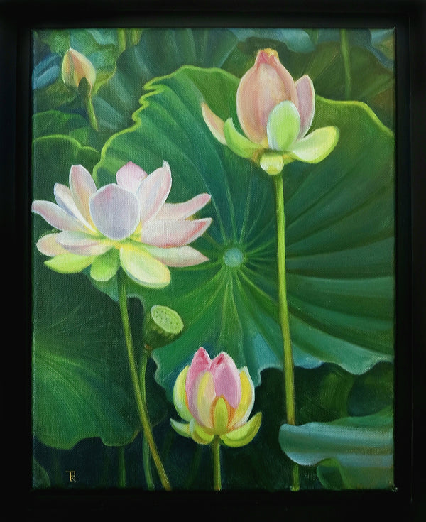 "Lotuses" by Tatiana Roulin