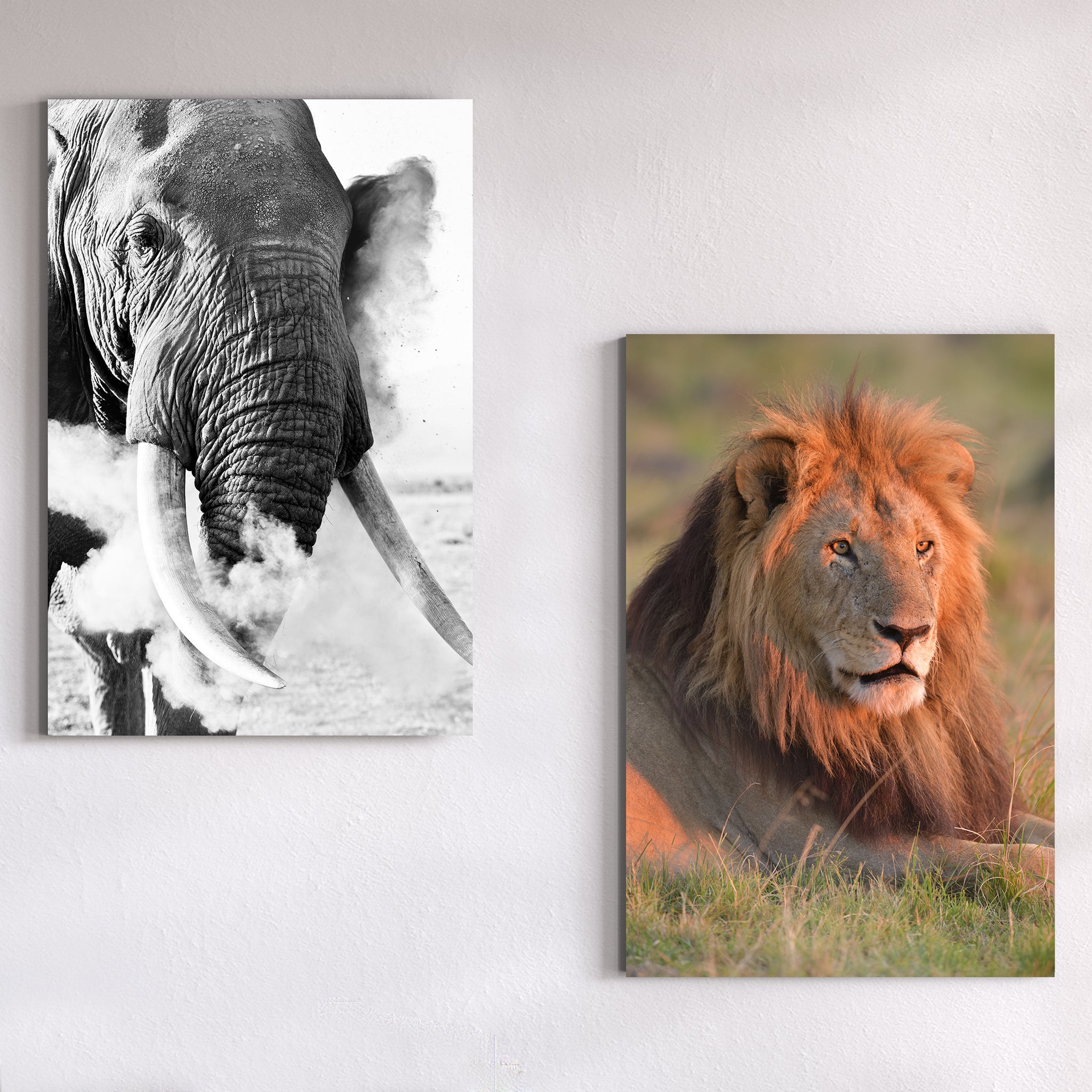 Dustbath by Teeku Patel