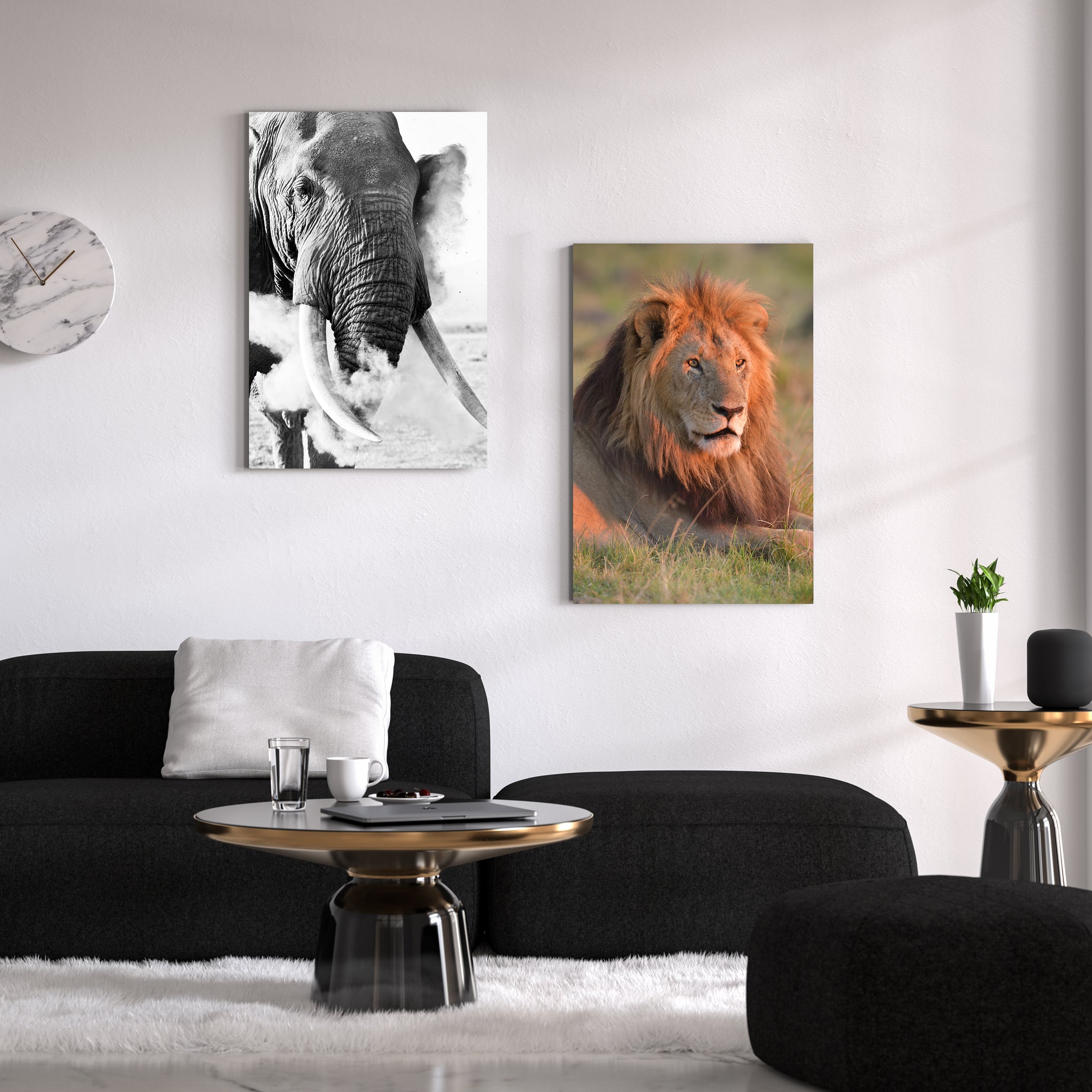 Dustbath by Teeku Patel