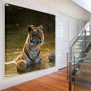 Tiger by Teeku Patel